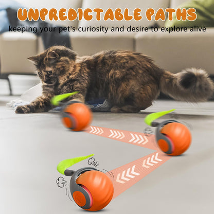 USB Rechargeable Smart Cat Ball with Fast-Tail Interactive Play