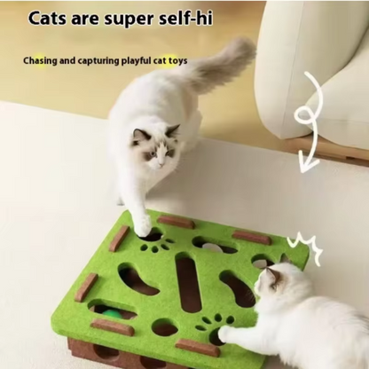 Felt Puzzle Box Cat Toy with Ball