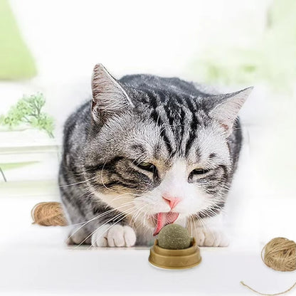 Catnip Lick Ball Toy for Cats