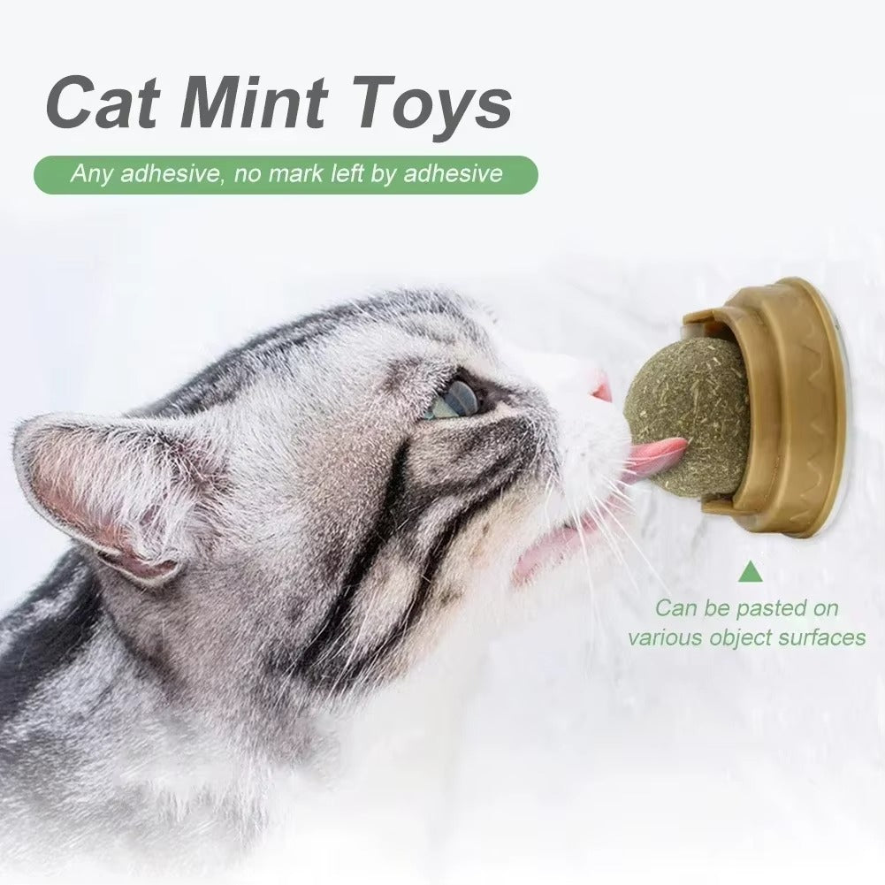 Catnip Lick Ball Toy for Cats