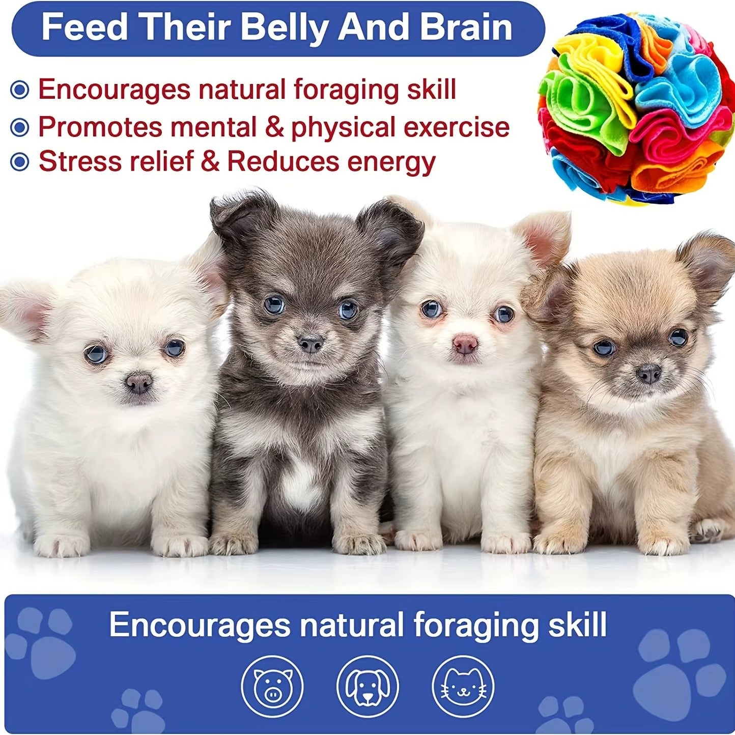 Interactive Felt Ball Dog Toy – Mental Stimulation & Nose Work