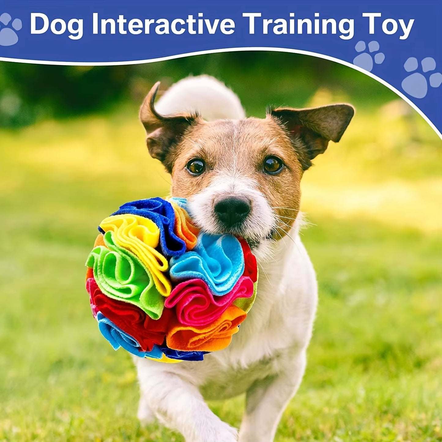 Interactive Felt Ball Dog Toy – Mental Stimulation & Nose Work