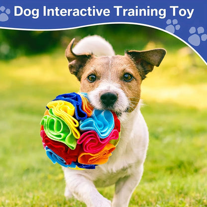 Interactive Felt Ball Dog Toy – Mental Stimulation & Nose Work