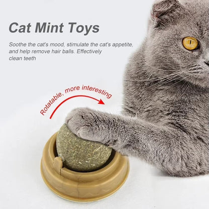 Catnip Lick Ball Toy for Cats