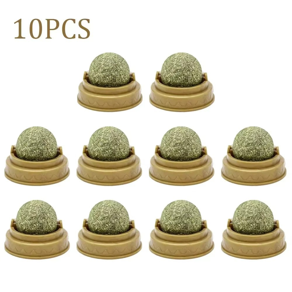 Catnip Lick Ball Toy for Cats